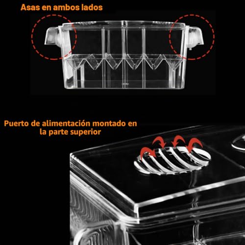 Miniatura 6 de Parideras Para Peces 4 En 1 Caja De Cría De Peces De Acuario Paridera Flotante Con Ventosas Caja De Aislamiento De Peces, Criadero De Peces Para Guppy Peces Tropicales Acuario