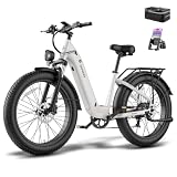 Fafrees F26 Rover Fatbike 26 Zoll, 250W E‑Bike mit abnehmbarem 48V 20Ah Akku, hydraulische Bremsen, sperrbare Vorderfederung, 7‑Gang, IPX5 (Satin‑Warmgrau, Variante 1, Amperestunden, 20)