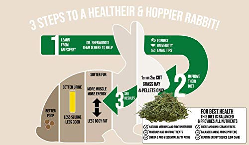 Sherwood Pet Health Rabbit Food-Adult, Timothy/Alfalfa Blend (Grain & Soy-Free) (Vet Used and Recommended) 10 lb. - Thumbnail 7