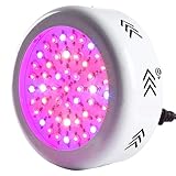 MINIMALE ENERGIEKOSTEN - Pflanzenwachstumslampen nutzen die LED-Technologie, produzieren erheblich weniger Wärme und verbrauchen weniger Energie als herkömmliche Glühlampen - denken Sie nur an all das Geld, das Sie sparen können!