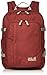 Produktbild Jack Wolfskin Unisex-Erwachsene Campus Jours sac à DOS Tagerucksack, Rot (Redwood), One Size