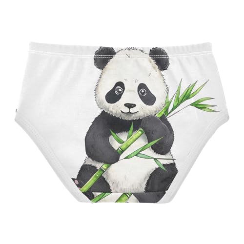 Girls Underwear Toddlers 2t Cotton Cute Panties Girl Flower Briefs Girls Undies Watercolor Cartoon Panda Bear White2