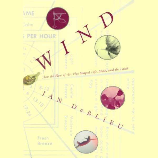 Cover art for Wind