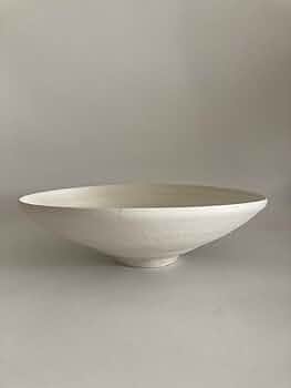 Qusamura 寒川義雄 × 叢 サボテン / 鉢 / 作家 白磁 / 盆栽 41v4fS1rNOL._UF350,350_QL50_.jpg