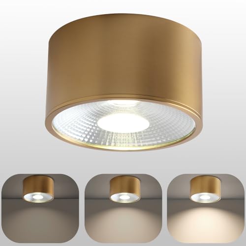 Image of Sedelan Mini Brass Ceiling Spot Light, 4.33 Inch Small Flush Mount Fixture, 7W 4500K LED Cylinder Lamp, Modern Indoor Accent Light for Closet Hallway Staircase Bedroom