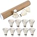 12 Pcs Shuttlecocks, Professional Badminton Shuttlecock Lightweight Training Sport Badminton Balls High Speed Badminton Birdies