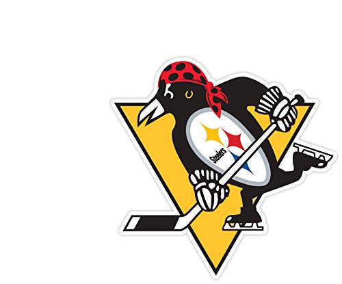Pittsburgh Fan Sport Logo 4