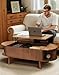 Pruchant Oval Lift Top Coffee Table with Storage, 47.2