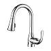 Techo Single Handle Pull-out Kitchen Faucets, High Arc Brushed Nickel Stainless Steel Faucets with Double Function (Stream and Spray) Pull-out Sprayer