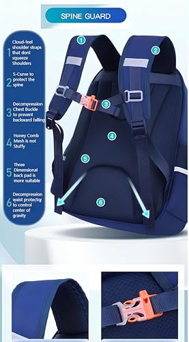 Image of THE VENTI Schoolbag School Backpack, Picnic Bag for Boys & Girls