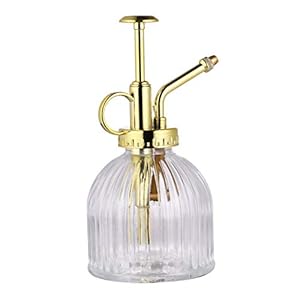 Cabilock Glas Plant Mister Spray Fles Pot Vintage Plant Pomp Gieter Decoratieve Planten Verstuiver Fles Met Top Pomp Voor Huis Tuin