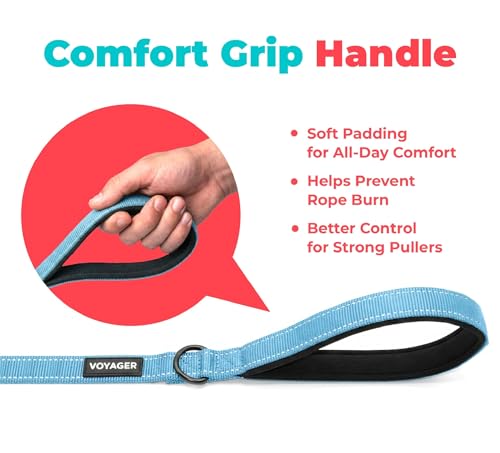 Image of Best Pet Supplies Voyager Reflective Dog Leash or Collar with Neoprene Handle, for Small, Medium, and Large Breed Puppies, Cute and Heavy Duty for Walking, Running and Training - Baby Blue (Leash), S