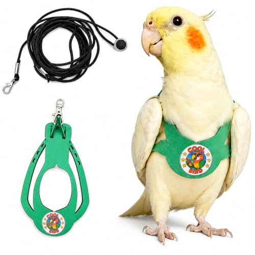 Adjustable Bird Harness & Leash Set for Small Birds FitsBudgie Parakeets Conures Cockatiels Green Cheek Quaker Parrots(Green M) 6350-8