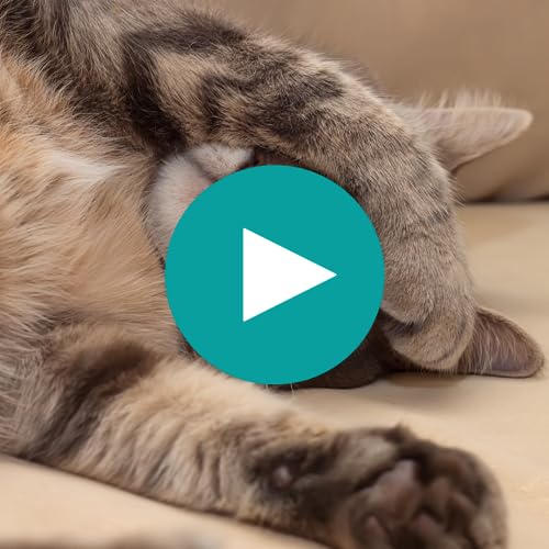 The Importance of Downtime