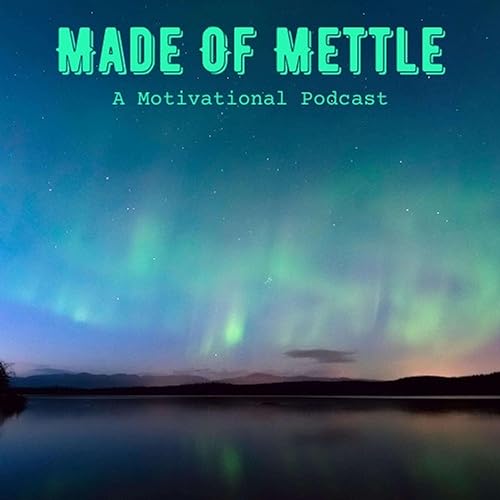 Made of Mettle Motivation Podcast By Ari the Hippie cover art