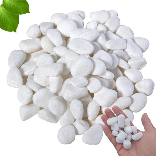 OUTALIZ Guijarros, Guijarros para Jardín, Piedras de Río, Piedras Decorativas para Plantas, para Paisajismo, Decoración del Hogar, Jardín, Proyectos Artísticos 2-4 cm, 1 kg(Blanco)