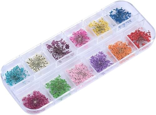 GETSTREE Trockene Blumen, Kunsthandwerk mit Blumen, DIY-Schmuck, Basteln, Heimdekoration, 24 Stück, getrocknete Blumen for Nagelkunst, 1 Schachtel mit bunten Maniküre-Aufklebern in 12 Farben(Natural)