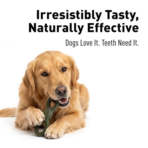 Image of Basil Fresh Breath Mouth Refreshing Chewy Bites 360 Dental Chews for All Dogs Flexible Dental Bone - 90 Grams