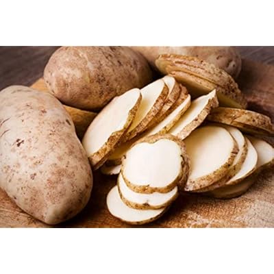 POTATOES RUSSET | Fresh Produce | Bulk 20 LBS | Grown in USA