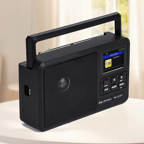Radio di rete, schermo LCD portatile Internet Radio con FM/DAB + e sveglia per attività all'aperto/viaggio