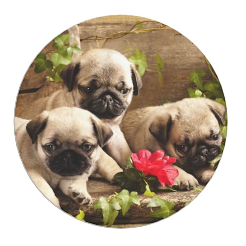 Dessous de verre carlin idée cadeau originale pour amoureux de chien - 8