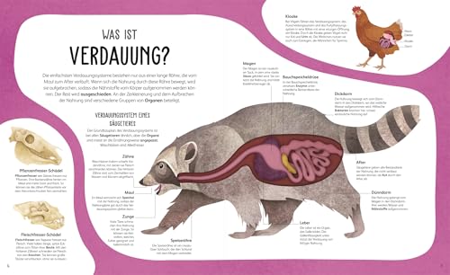 Anatomie der Tiere: Das geheimnisvolle Innenleben unter Fell, Federn und Schuppen. Tieranatomie großartig visuell aufbereitet. Für Kinder ab 7 Jahren