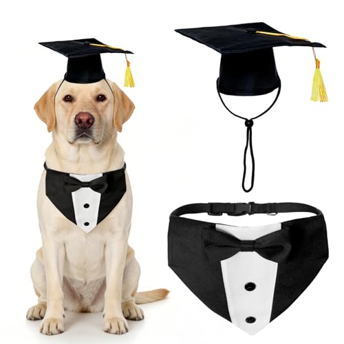 Disfraz de graduación para perro con gorro y pajarita