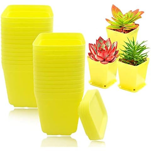 24Pcs 3 Inch Plastic Nursery Seedling Pots,Succulent Square Planter Pot with Saucers for Room,Office,Garden,Balcony Decor (Yellow) Cover