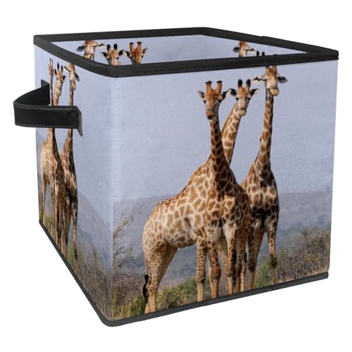 Boîte de rangement pliable pour jouets et vêtements de chambre