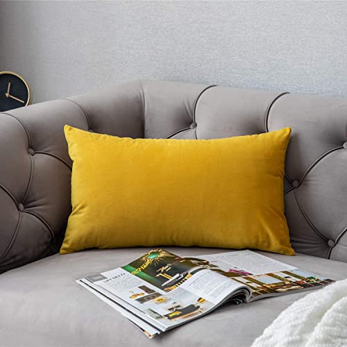 Image of RVA Velvet Cushion Covers Throw Pillow Case Soft Cozy Velvet Rectangle Home Decorative Throw Pillow Covers for Couch and Bed, Sofa (Size 16x24 inch) (Pack of 2) (Color Yellow)
