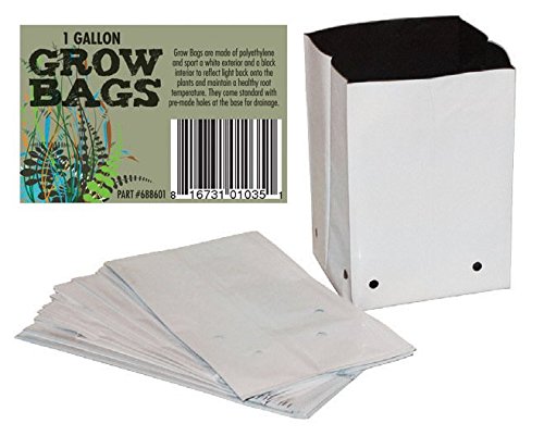Plastic Grow Bags - 1 Gallon (Polyethylene), Pack of 100