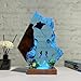 Handmade 3D Ocean Resin Lamp - USB Powered Resin Ocean Night Light with Wooden Base, Variable Lights, Scuba Diver Gifts, Diving Enthusiast Collectibles, Unique Birthday Holiday Gifts for Men & Women