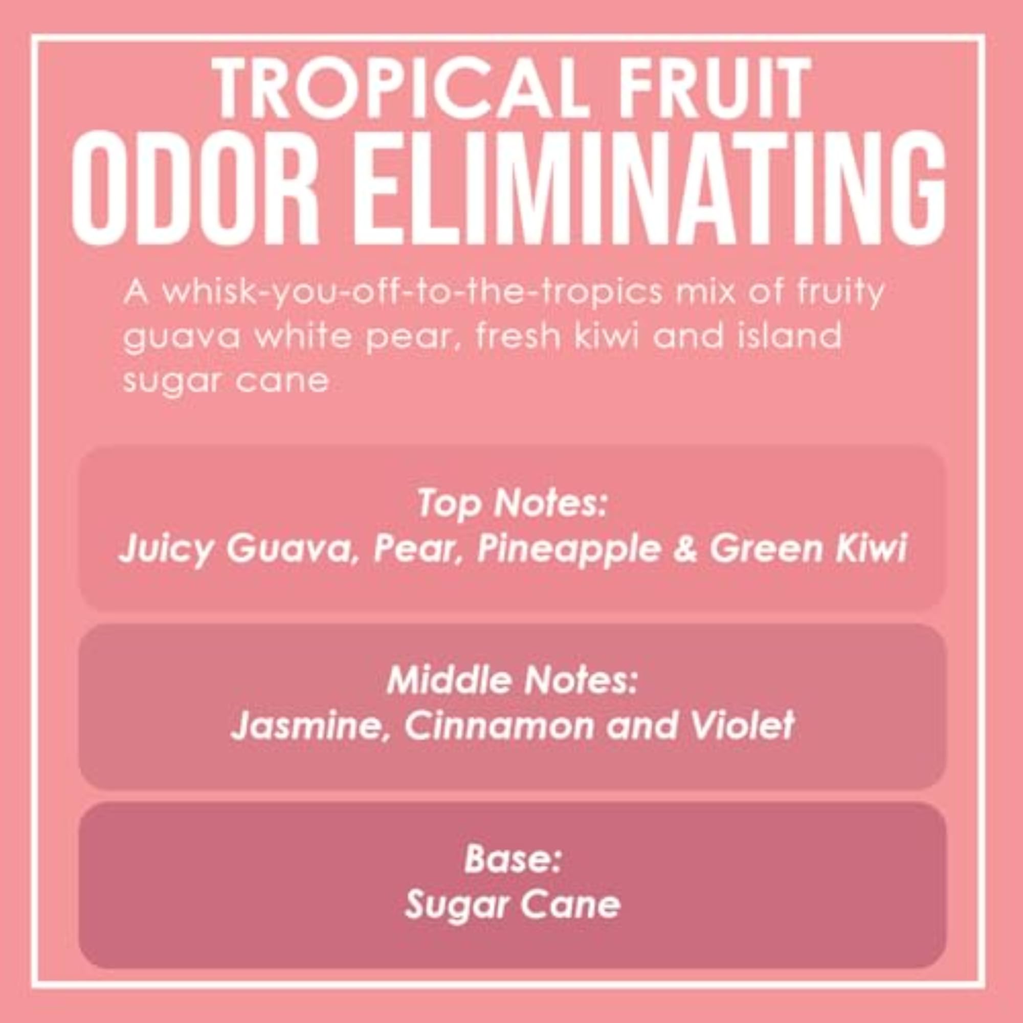 Tropical Fruit Scented Odor Eliminating Candle