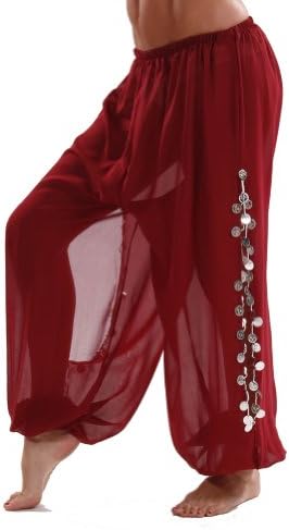 Bellydancer Chiffon Harem Pants with Side Slits | Maiden Dance