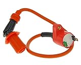 Länge 35cm, Farbe orange Zündspule mit Kerzenstecker 2 Pins Hochspannung für 50ccm 2-Takt und 50-125ccm 4-Takt Roller Scooter GY6