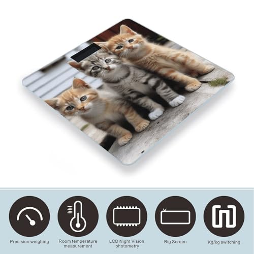 Báscula Digital Corporal Kittens Family Cats de Alta Precisión miniatura 3