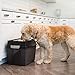 IRIS USA Elevated Dog Bowls, 15