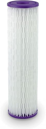 Aquasana Filtro Posterior de Repuesto para Toda la Casa | Reduce Sedimentos, Óxido y Suciedad | Genuino y Certificado | Dura 6 Meses | 10 Pulgadas |