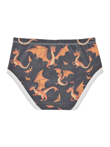 ZZKKO Cartoon Flying Dinosaur Girls Underwear Toddler Panties for Girls Comfort Brief Size 2-8T2