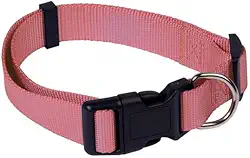 Mor - Coleira M Rosa