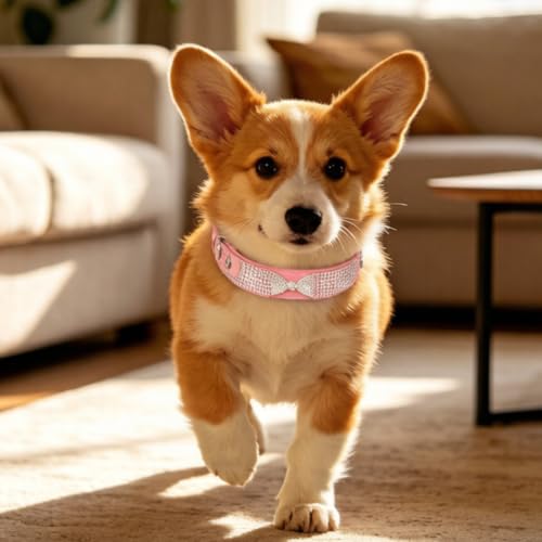 Collar de perro pequeño cachorro o gato con diamantes de imitación morado M 5