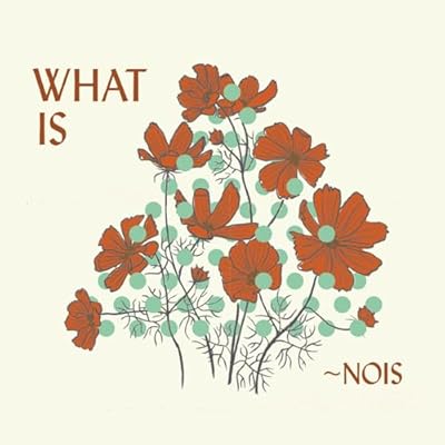 WHAT IS ~NOIS?