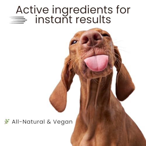 KELEBS Hundeshampoo Kokos | Hundepeeling | Hundeshampoo Sensitiv | Hundeshampoo Gegen Geruch | Hunde Shampoo Fellpflege | Gegen Juckreiz | Deshedding Shampoo Dog | Hunde Conditioner | Anti Juckreiz