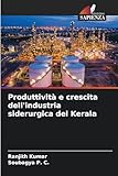  Produttività e crescita dell\'industria siderurgica del Kerala