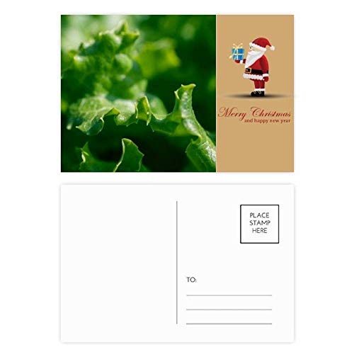 Cartes postales Père Noël pour vos photos de fêtes en lot de 20 unités