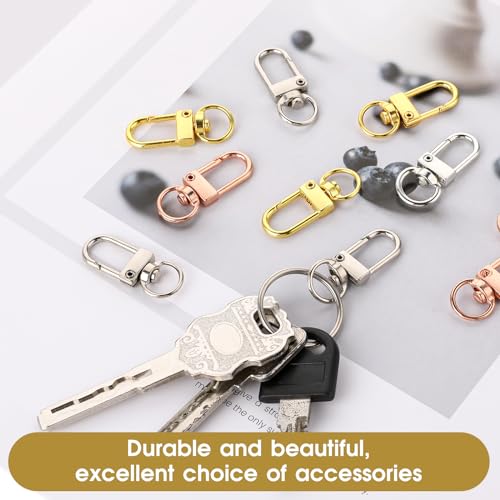 30stk Karabiner Schlüsselanhänger Klein,Zinklegierung Schlüsselringe,Schlüsselanhänger Clip Haken,Drehbar Schlüsselanhänger Karabinerhaken,Schlüsselanhänger Drehverschlüsse,für Schlüsselkette Basteln