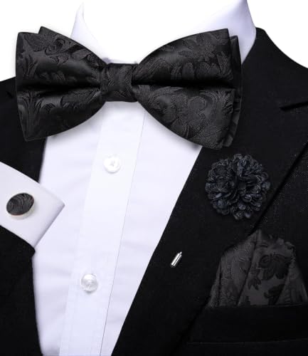 Image of Dubulle Mens Paisley Striped Bowtie Set Pre-tied Bowtie for Men and Pocket Square Set Wedding Business