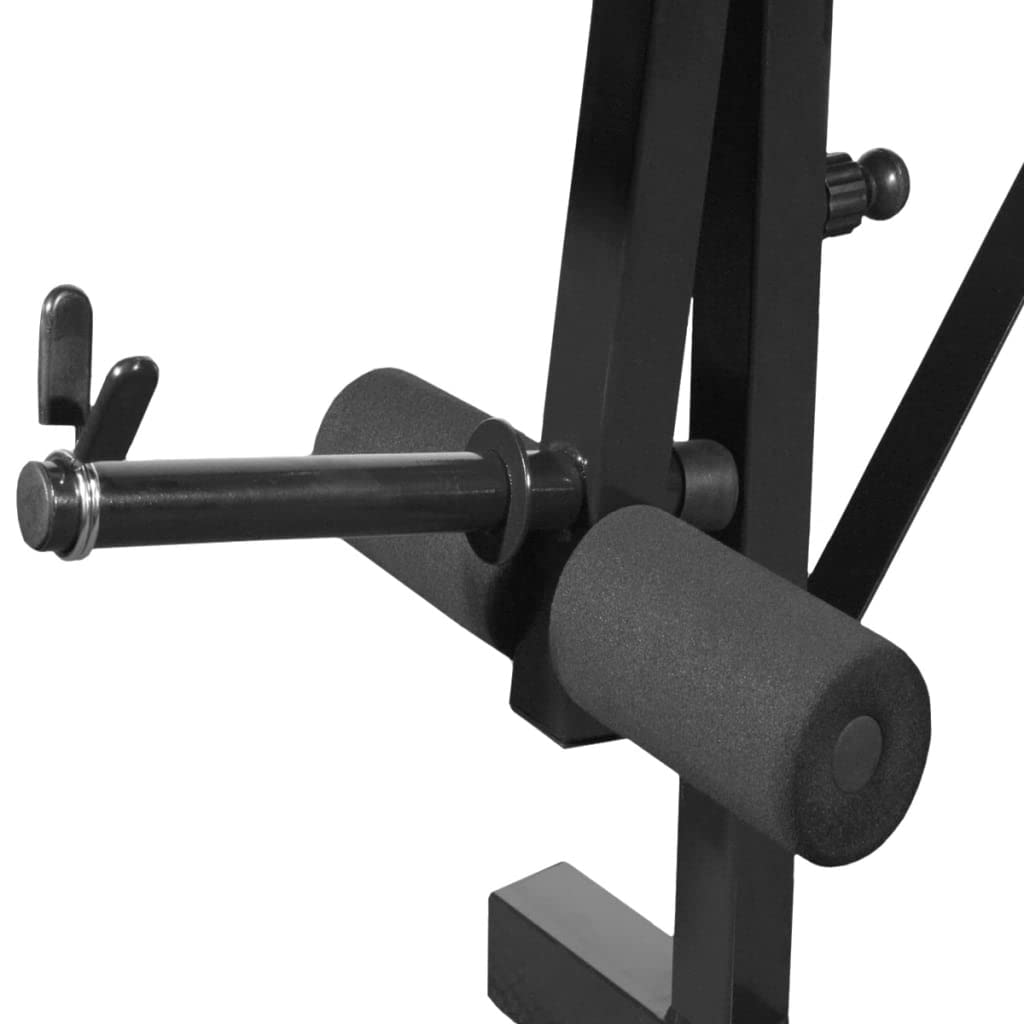 vidaXL Banco Soporte Barras Mancuernas 60,5 kg Musculación Pesas Multimodelo