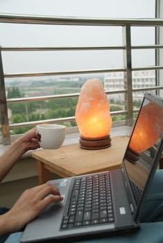 Bulbmaster 25 Watts Himalayan Light Bulb Replacement for Medium/Large Himalayan Salt Lamps Rocks Long Lasting Incandescent bulbs E12 Candelabra Base Dimmable Pack of 6