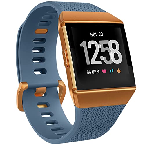 Wepro Bands Compatible with Fitbit Ionic Bands for Men Women, Replacement Sport Strap for Fitbit Ionic Smart Watch, Large, Slate Blue